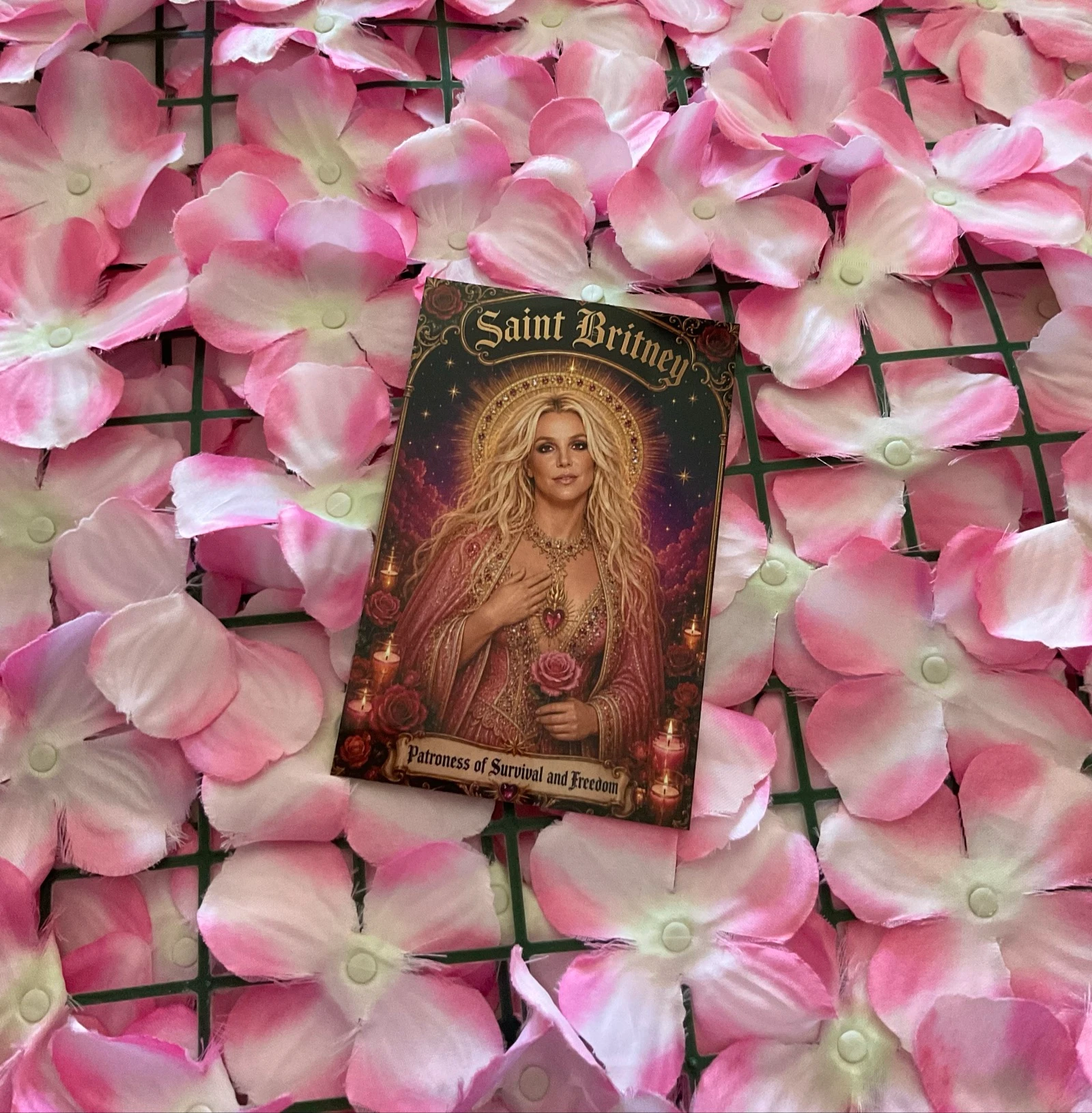 Postal Britney – photo 7
